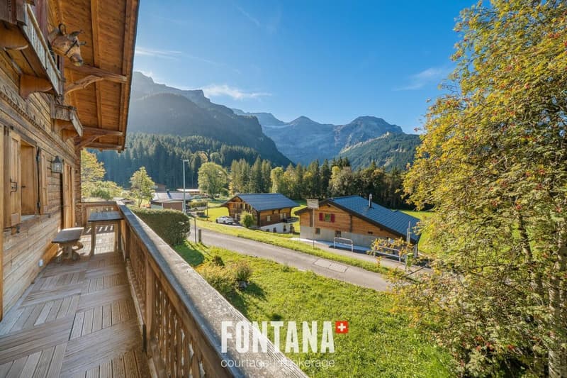 Exceptional chalet and privileged location (25)
