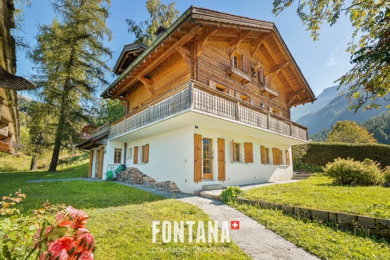 Exceptional chalet and privileged location (19)