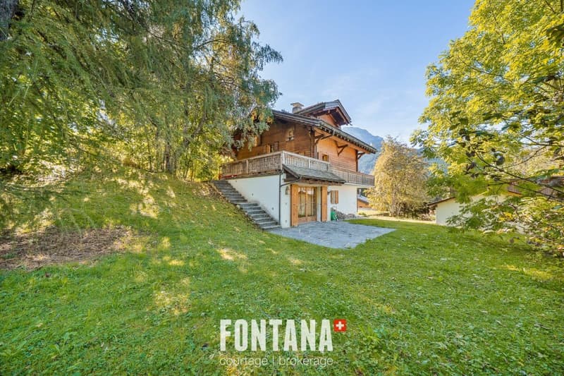 Exceptional chalet and privileged location (21)