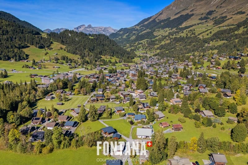Exceptional chalet and privileged location (28)