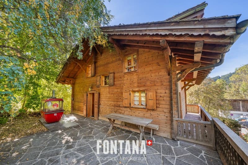 Exceptional chalet and privileged location (22)