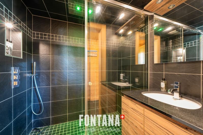 Exceptional chalet and privileged location (6)