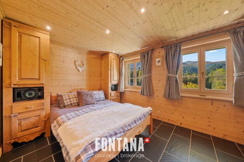 Exceptional chalet and privileged location (5)