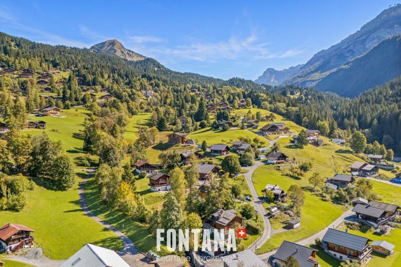 Exceptional chalet and privileged location (29)