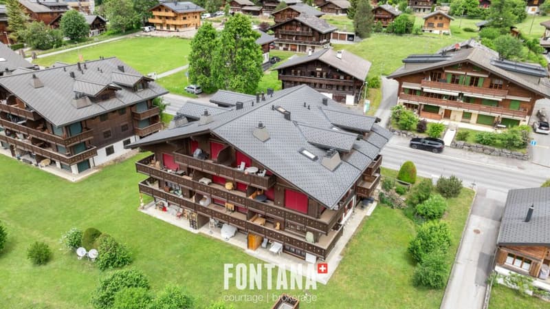 PPE Diablerets Parc C Lot C5 (12)
