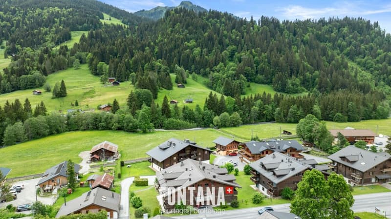 PPE Diablerets Parc C Lot C5 (18)