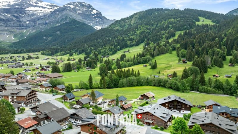 PPE Diablerets Parc C Lot C5 (16)