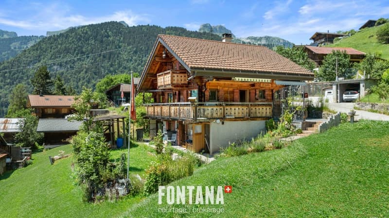 Chalet Le Grillon (1)