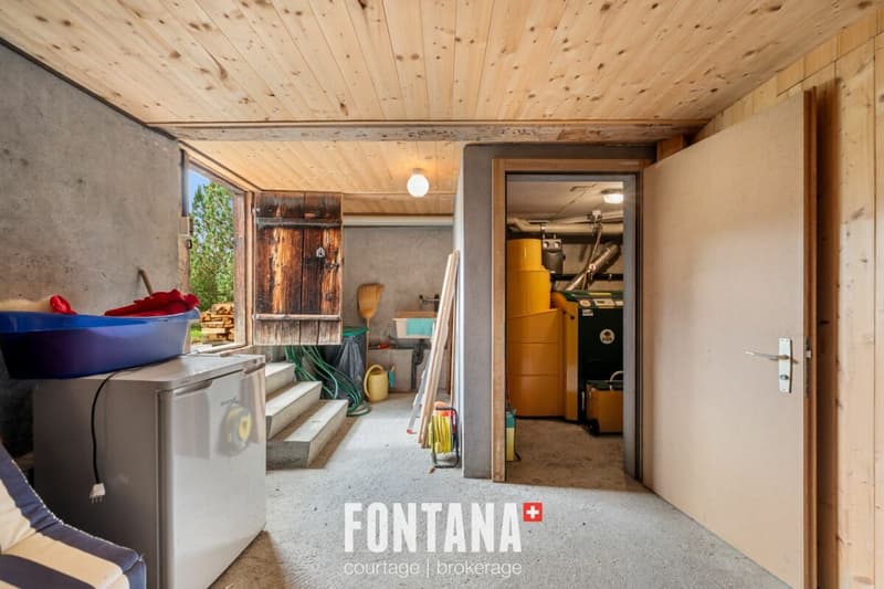 CHALET AUTHENTIQUE DE 1840 - LES DIABLERETS (25)