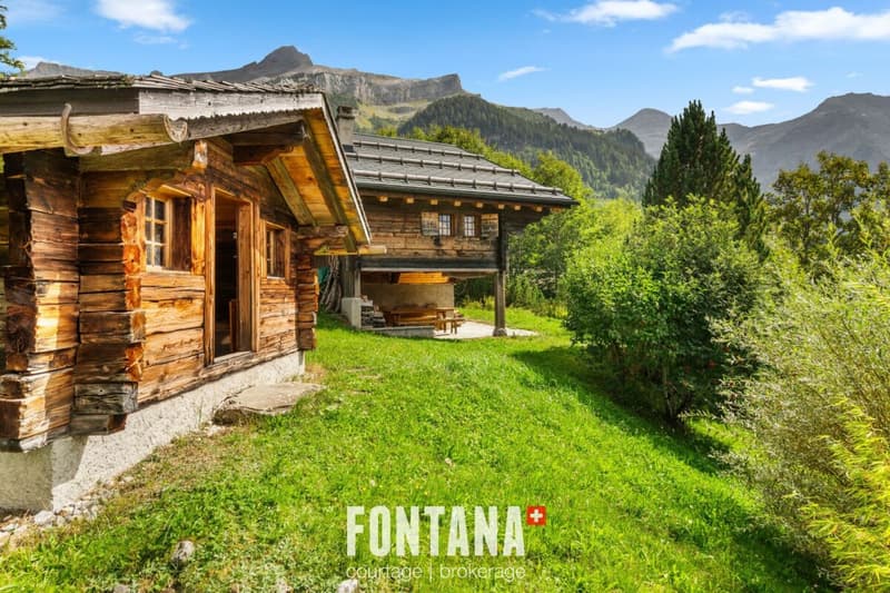 CHALET AUTHENTIQUE DE 1840 - LES DIABLERETS (32)