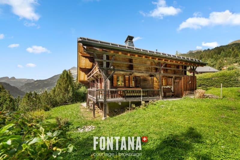 CHALET AUTHENTIQUE DE 1840 - LES DIABLERETS (30)