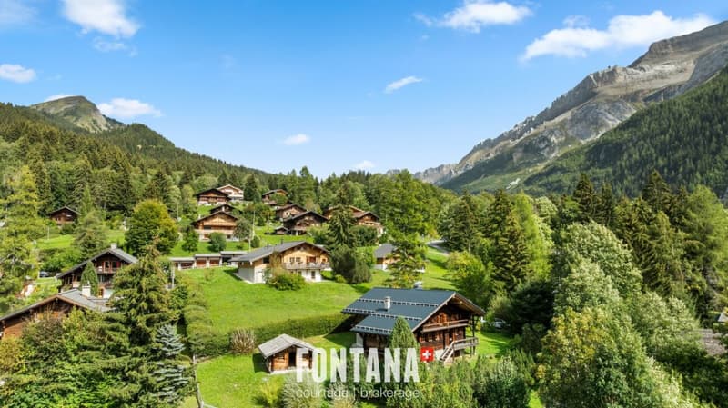 CHALET AUTHENTIQUE DE 1840 - LES DIABLERETS (39)