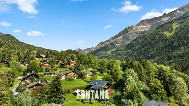 CHALET AUTHENTIQUE DE 1840 - LES DIABLERETS (40)