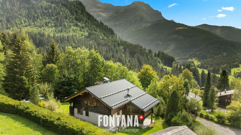 CHALET AUTHENTIQUE DE 1840 - LES DIABLERETS (37)