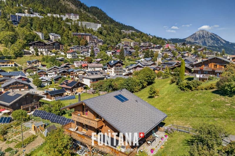 Chalet Volodalen (1)