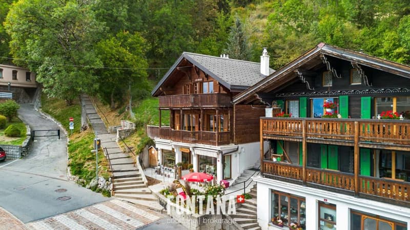 Chalet de caractère avec rendement locatif (29)