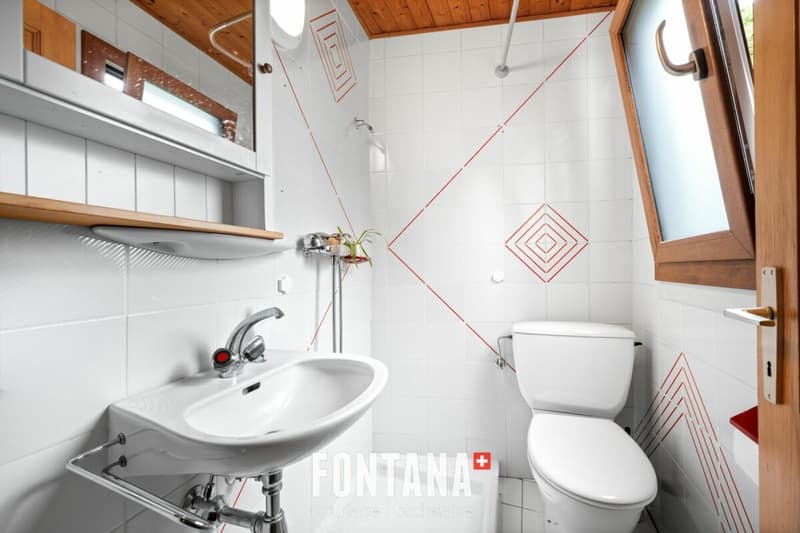 Chalet de caractère avec rendement locatif (9)