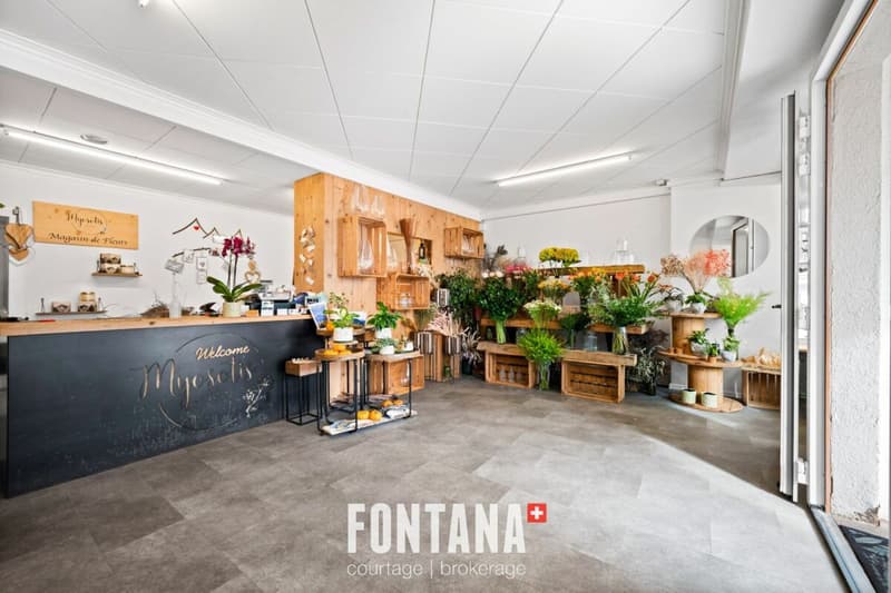 Chalet de caractère avec rendement locatif (23)