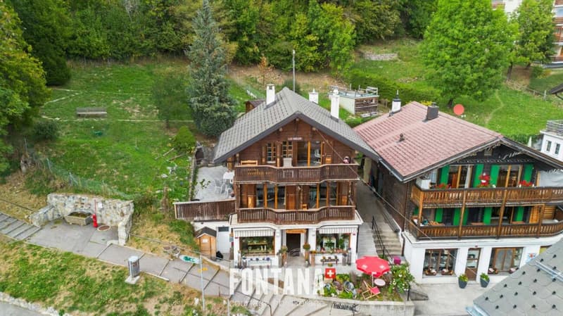 Chalet de caractère avec rendement locatif (28)