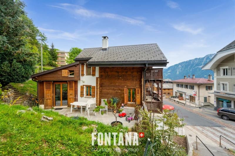 Chalet de caractère avec rendement locatif (26)