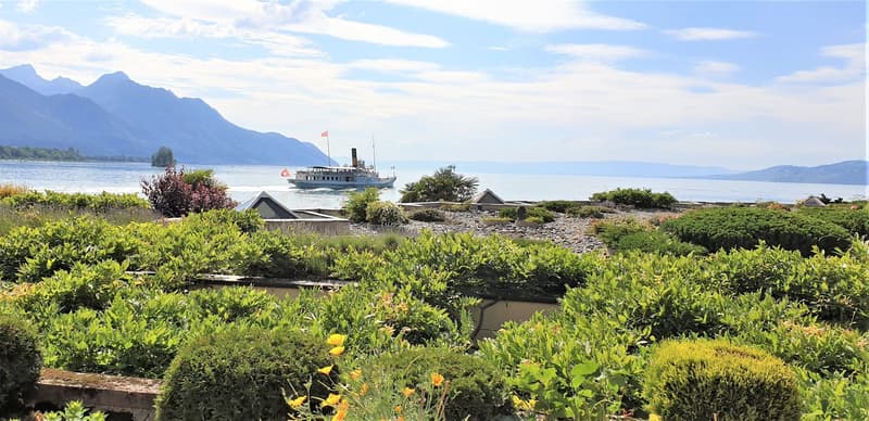 The image shows a scenic lakeside landscape with a steamboat sailing on the lake. The foreground features a lush, well-maintained garden with various plants and flowers. In the background, there are mountains and a clear blue sky with some clouds. The ove