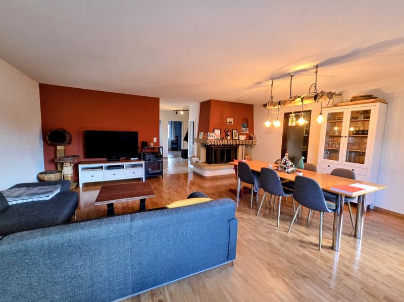 Fireplace, wooden floor, wooden dining table, chairs, couch, television, cabinet, shelves