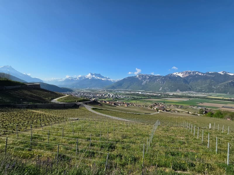 2 Individual houses with panoramic view in Yvorne (1)