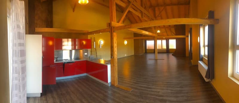 In affitto super appartamento loft di 134m2 (1)