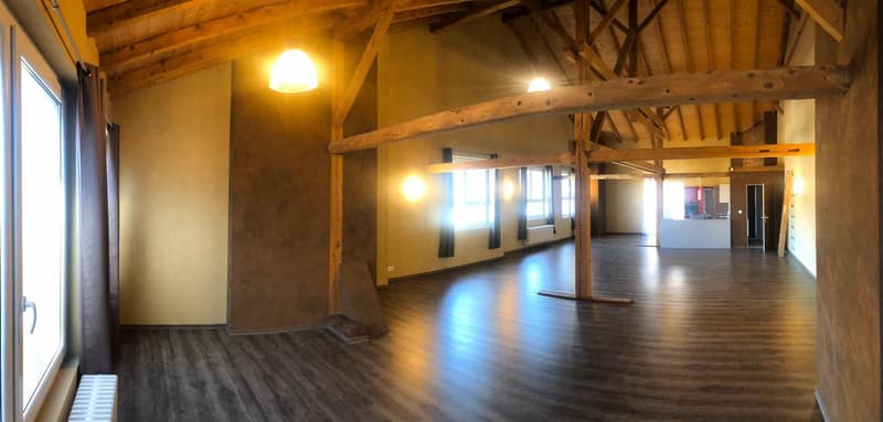 In affitto super appartamento loft di 134m2 (2)