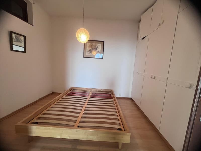 Appartamento luminoso con balcone e vista lago a Saint-Gingolph (2)