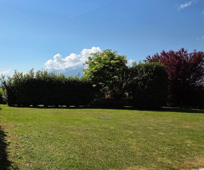 Duplex 5.5 rooms with mountain view in Aigle (3)