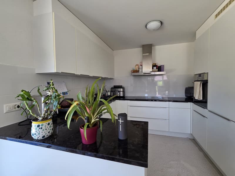 Duplex 5.5 rooms with mountain view in Aigle (5)