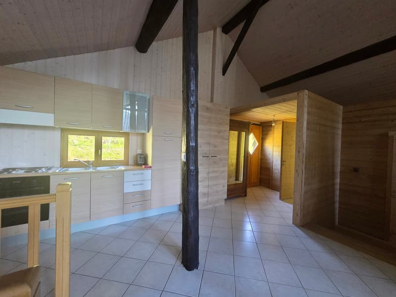 CHALET AUTHENTIQUE (11)