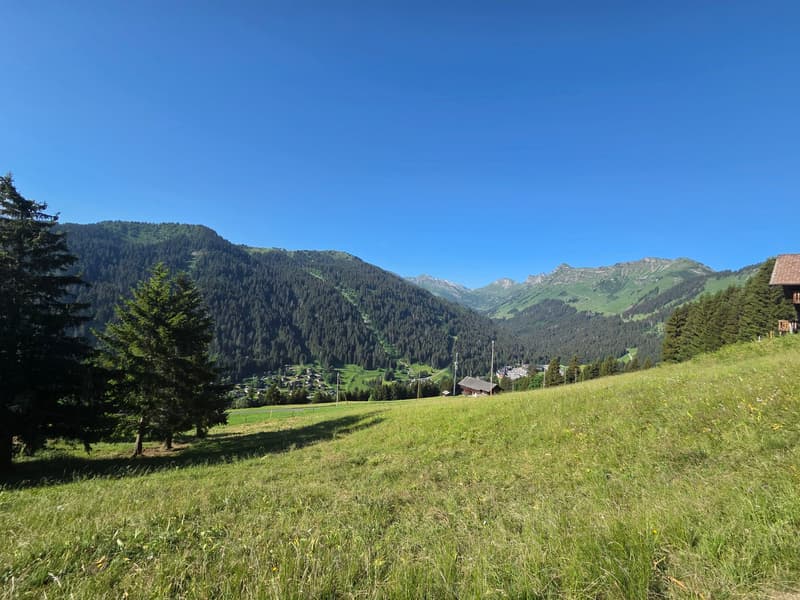 CHALET AUTHENTIQUE (2)