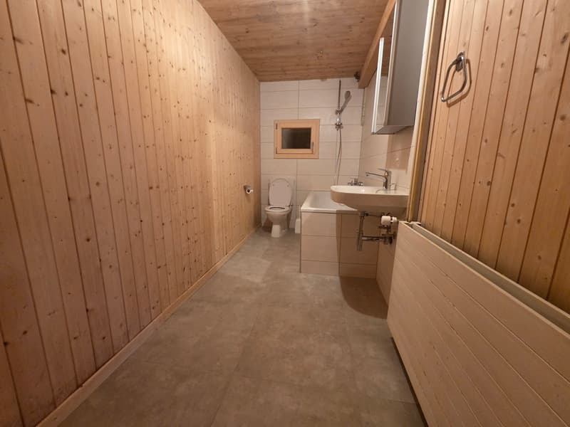 CHALET AUTHENTIQUE (8)