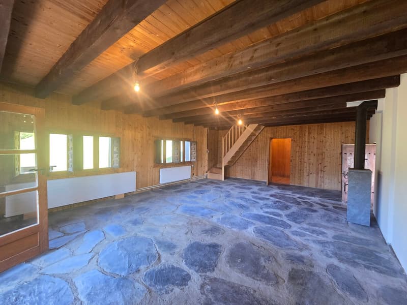 CHALET AUTHENTIQUE (5)