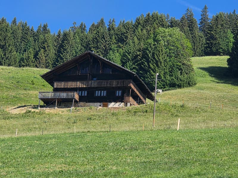 CHALET AUTHENTIQUE (1)
