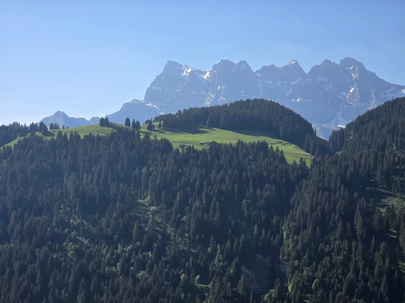 CHALET AUTHENTIQUE (3)
