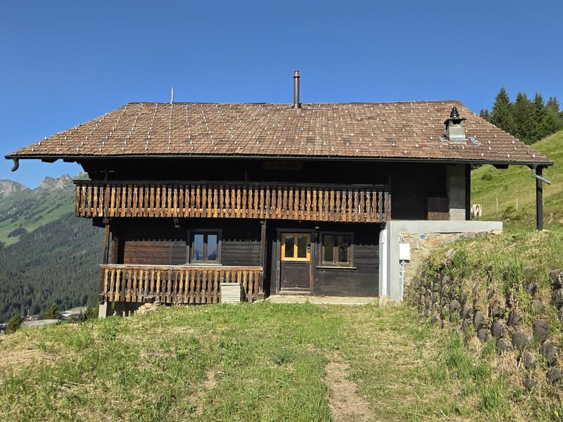 CHALET AUTHENTIQUE (4)