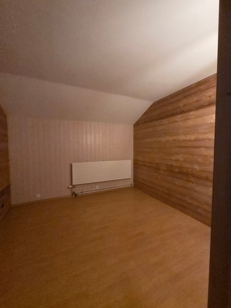 CHALET AUTHENTIQUE (10)