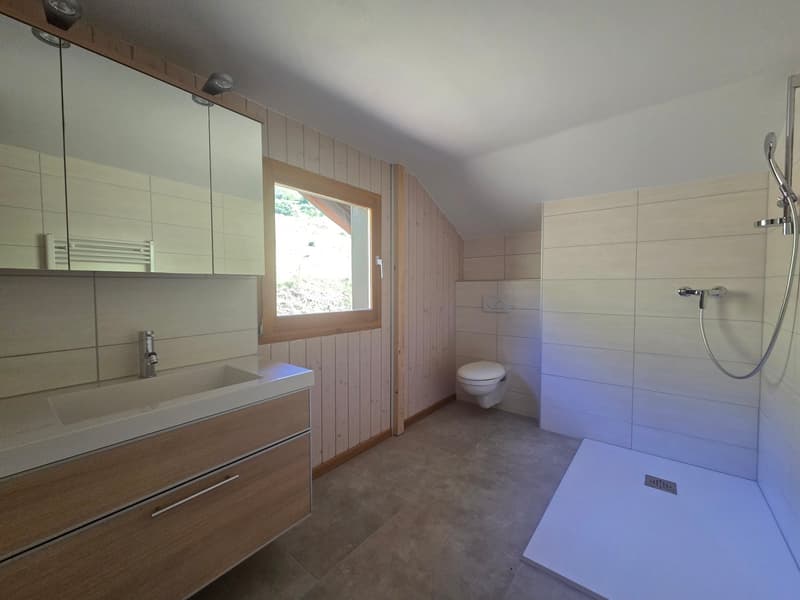 CHALET AUTHENTIQUE (12)