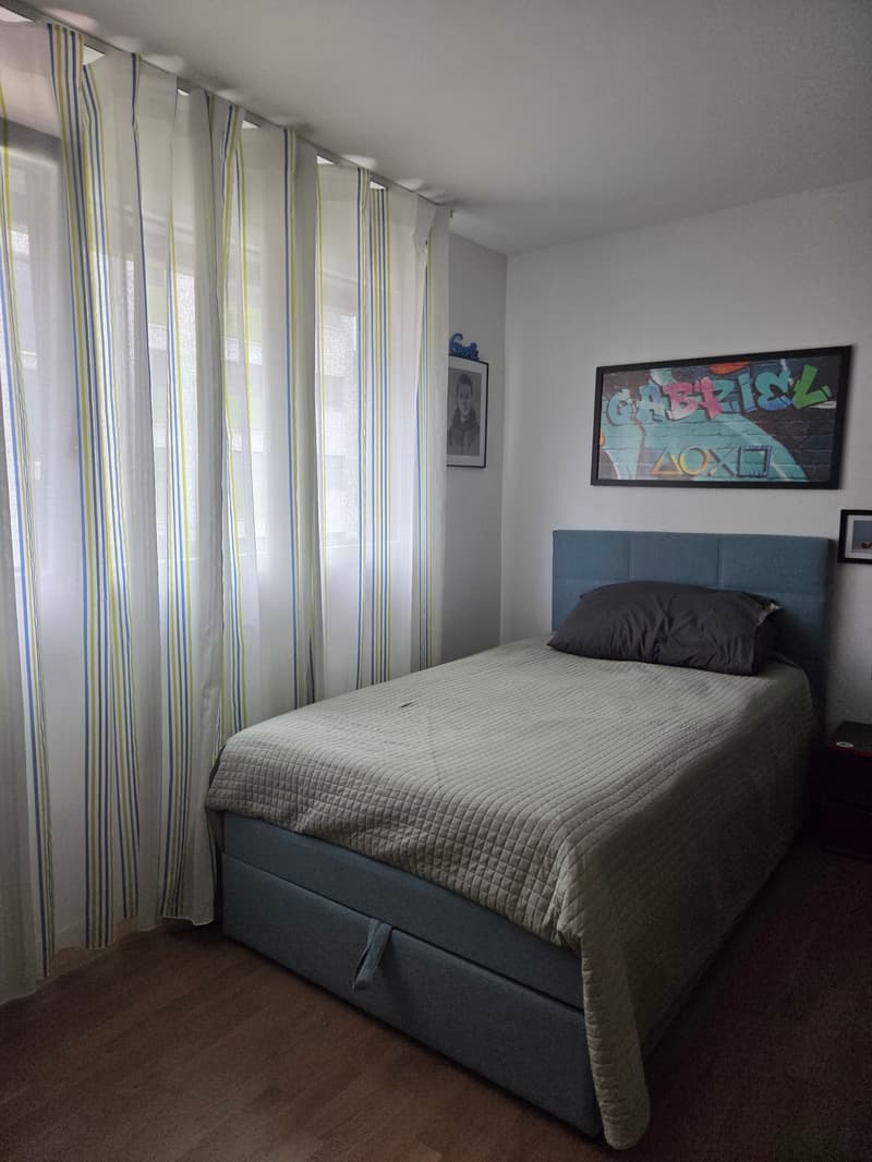 OPPORTUNITE A MONTHEY - APPARTEMENT DE 5,5 PIECES (7)