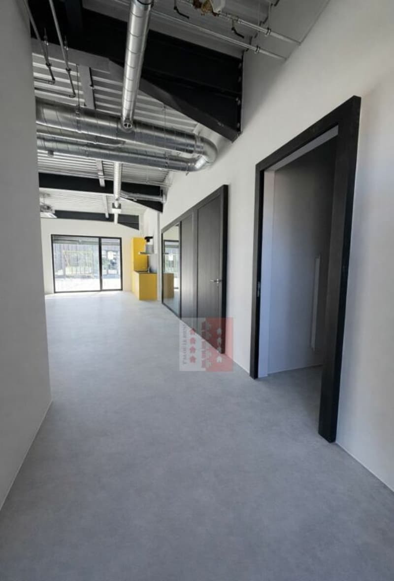Prächtiges Büro neu zu vermieten (3)