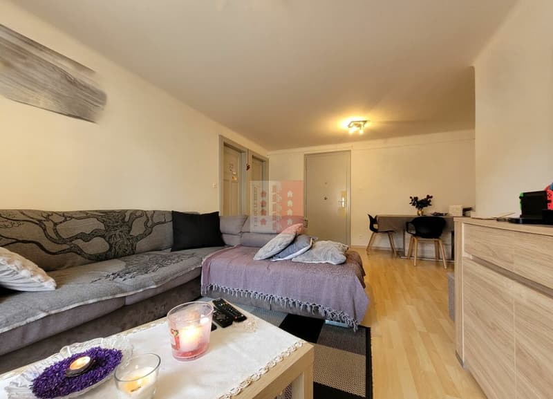 3.5 rooms rented and close to the city center (2)