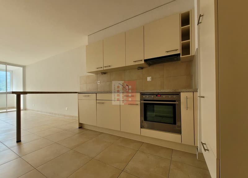 3 pièces disponible de suite à Martigny (2)
