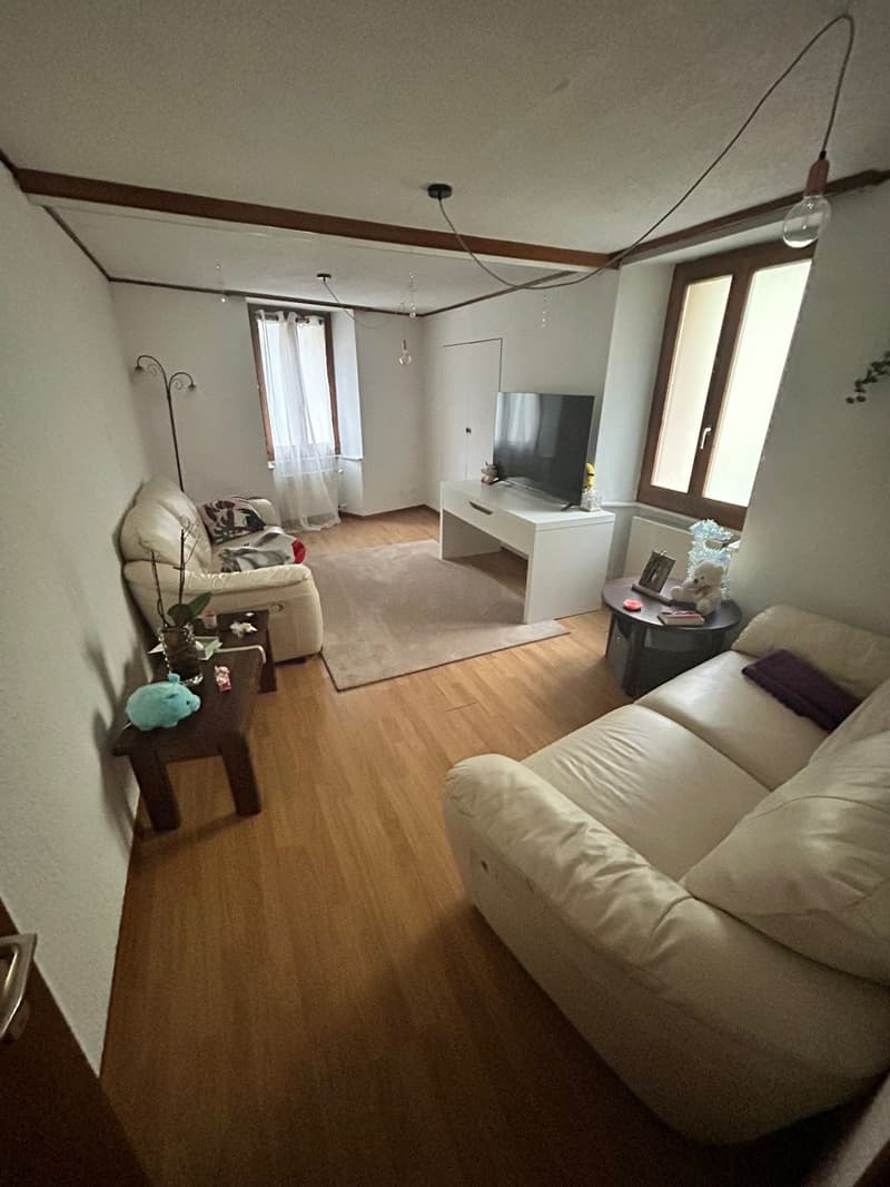 Charming 2-room apartment for sale in Bovernier (12)
