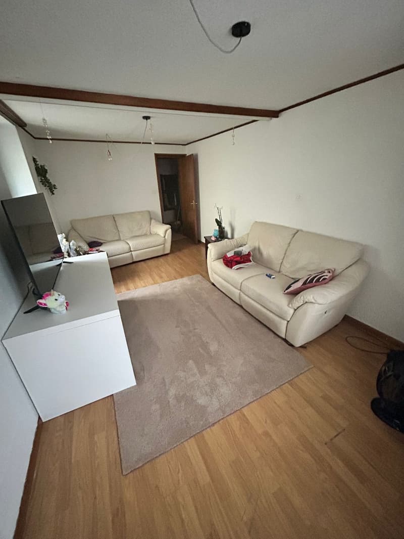 Charming 2-room apartment for sale in Bovernier (11)
