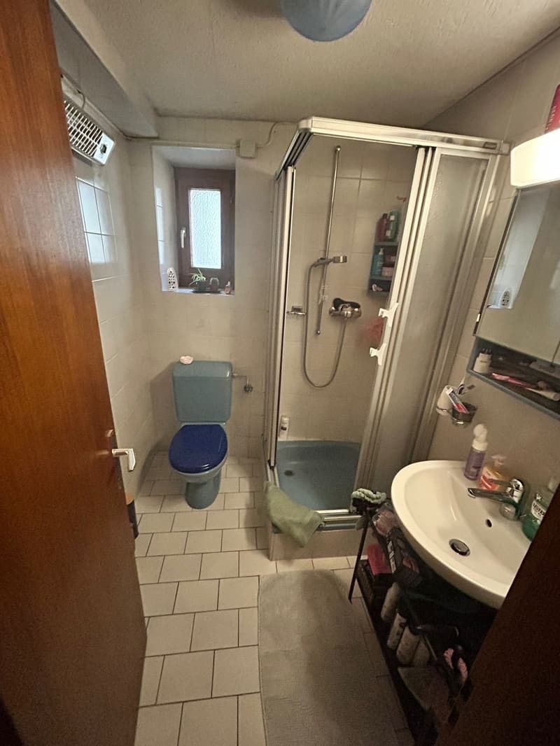 Charming 2-room apartment for sale in Bovernier (9)