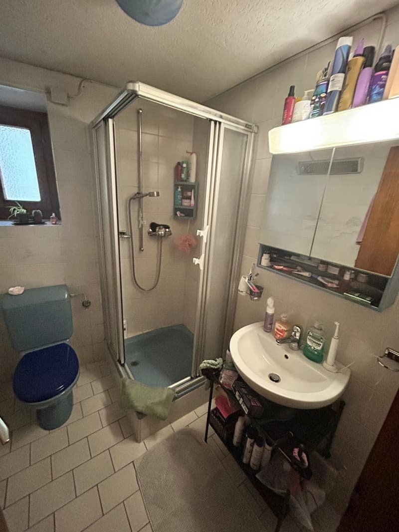Charming 2-room apartment for sale in Bovernier (10)