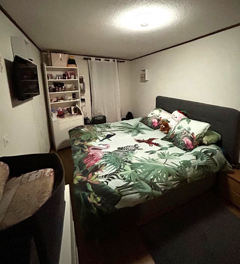 Charming 2-room apartment for sale in Bovernier (7)